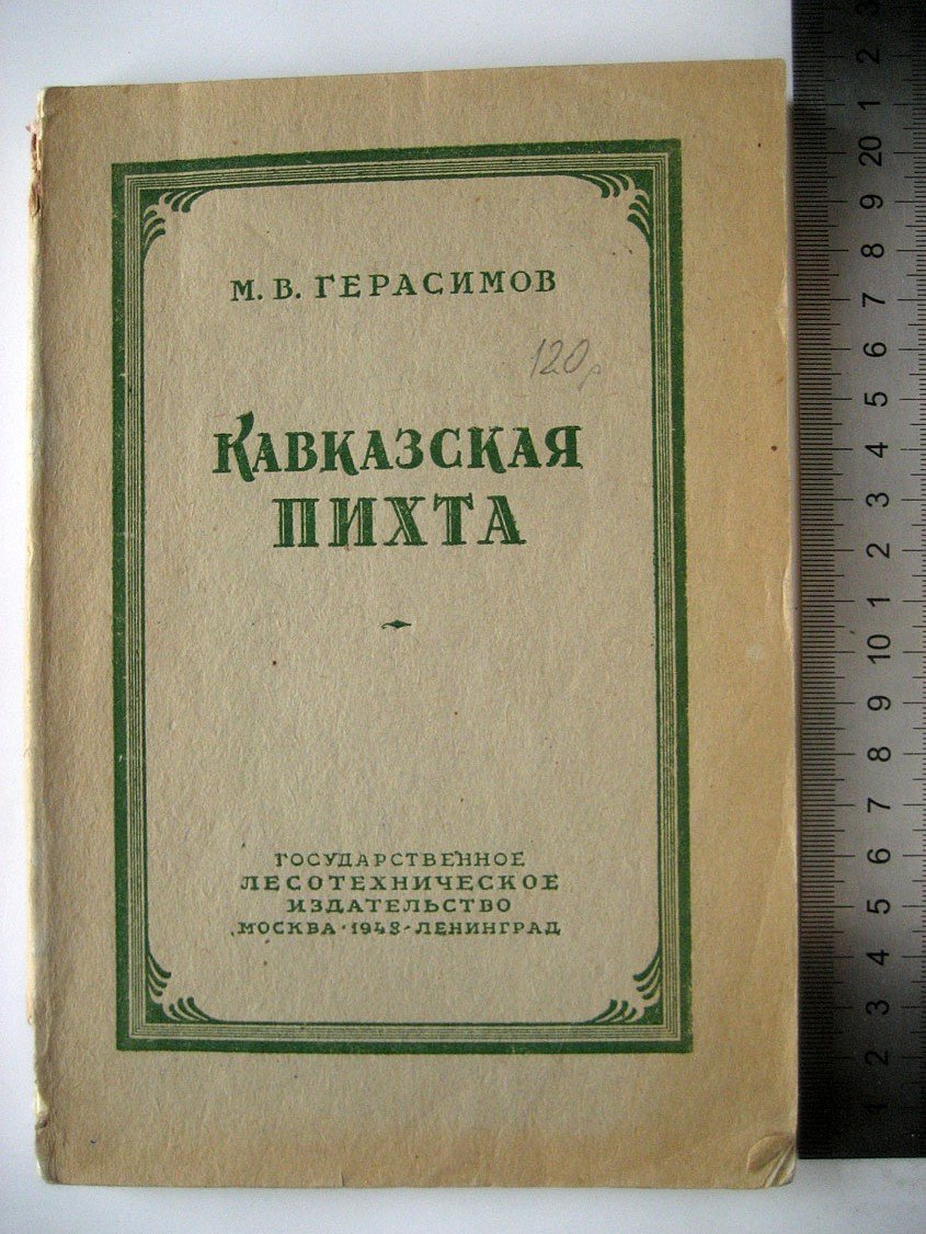 Герасимов М. Кавказская пихта. Структура и качественная характеристика девственных древостоев