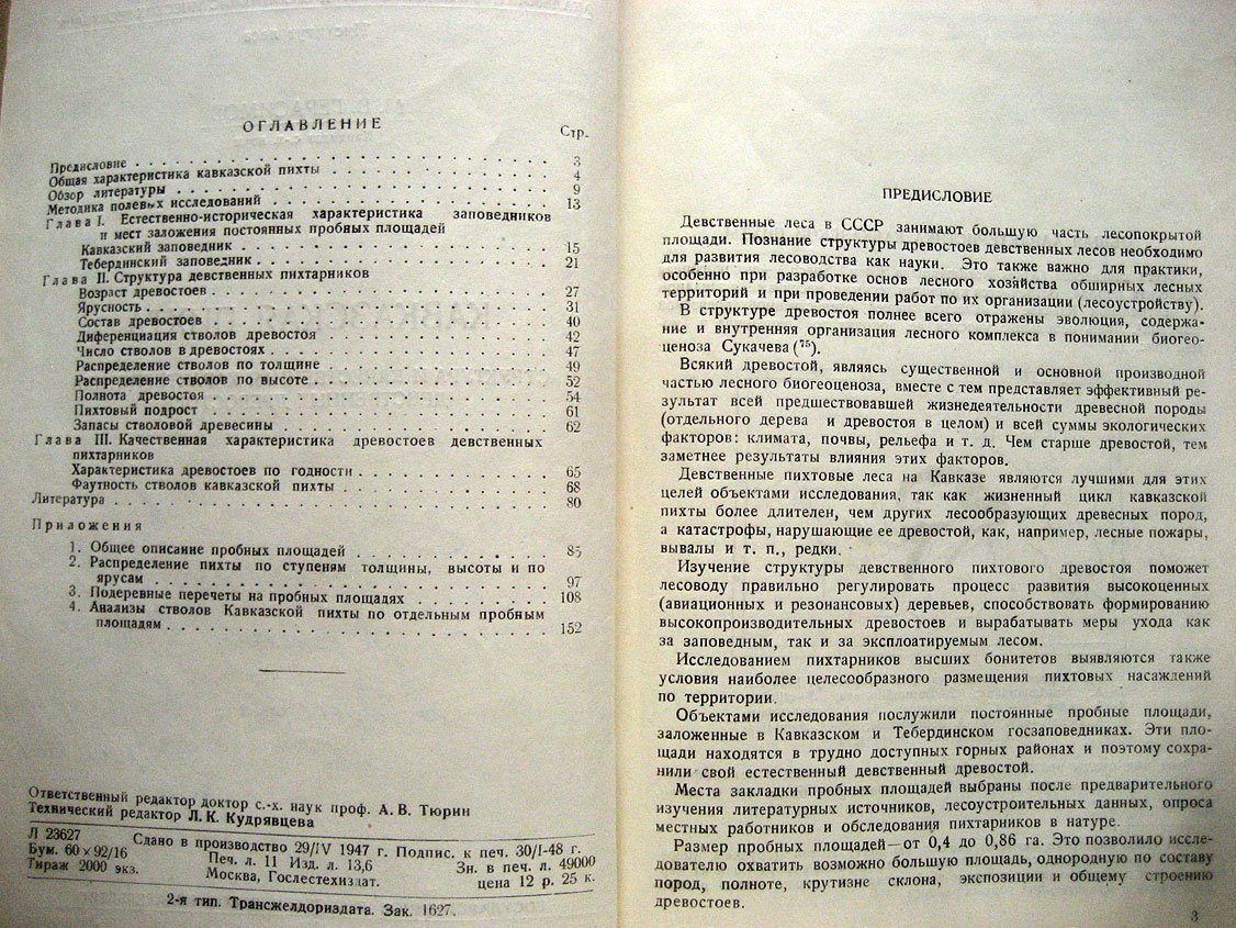 Герасимов М. Кавказская пихта. Структура и качественная характеристика девственных древостоев