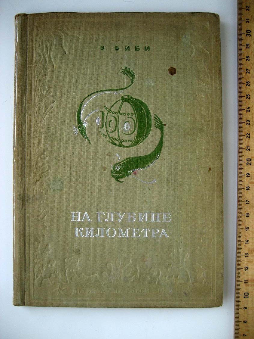 Биби В. На глубине километра.