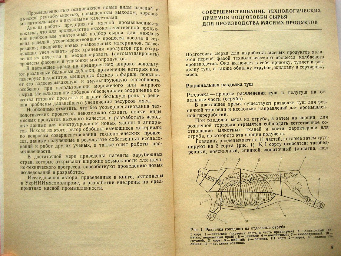 Тимощук И. Совершенствование технологии мясных продуктов.