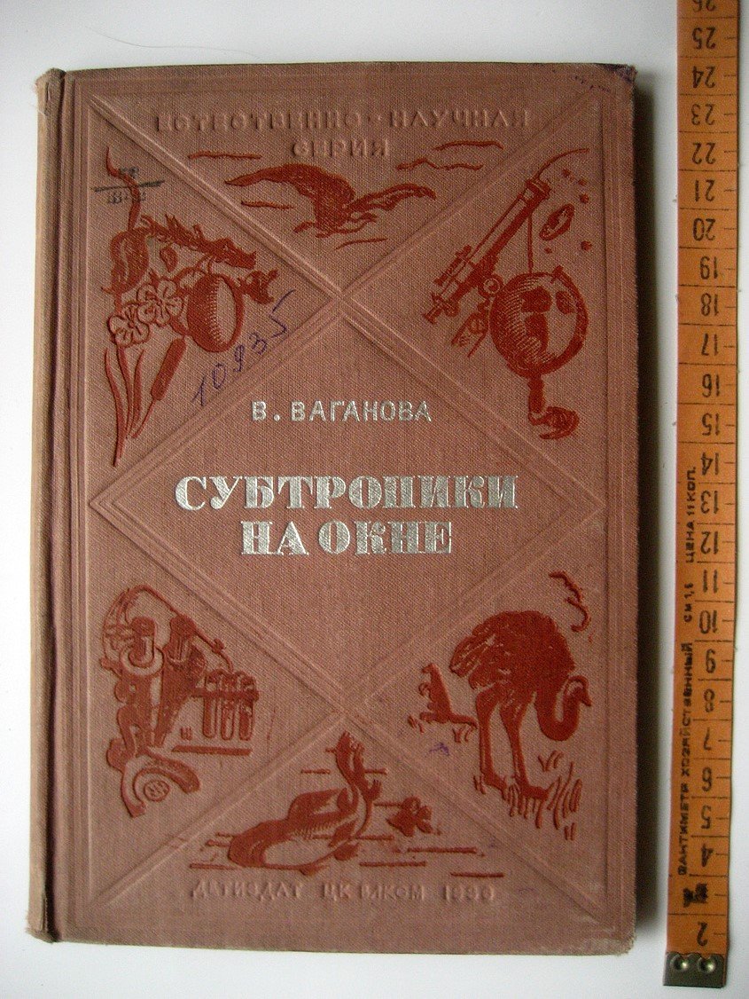 Ваганова В. Субтропики на окне.