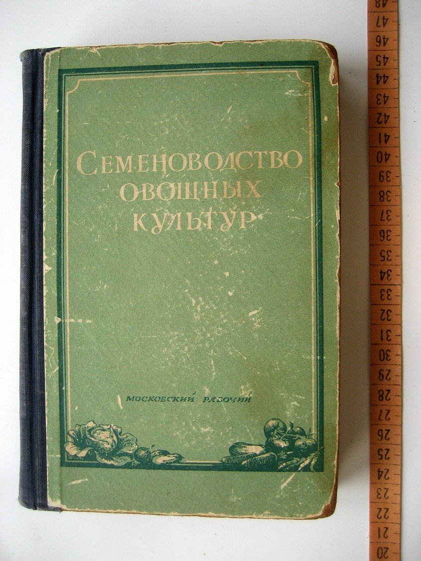 Семеноводство овощных культур для нечерноземной полосы СССР.