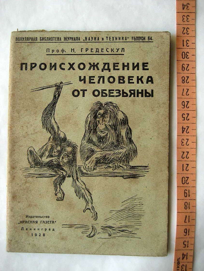 Гредескул Н. Происхождение человека от обезьяны.
