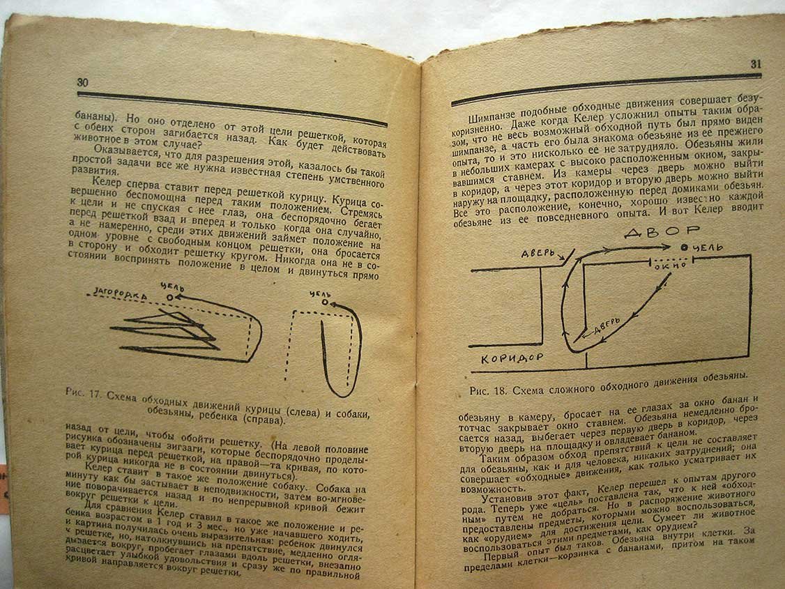 Гредескул Н. Происхождение человека от обезьяны.