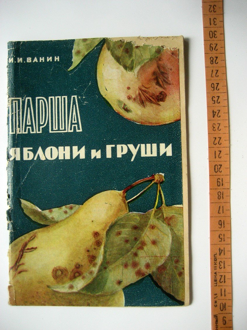 Ванин И. Парша яблони и груши.