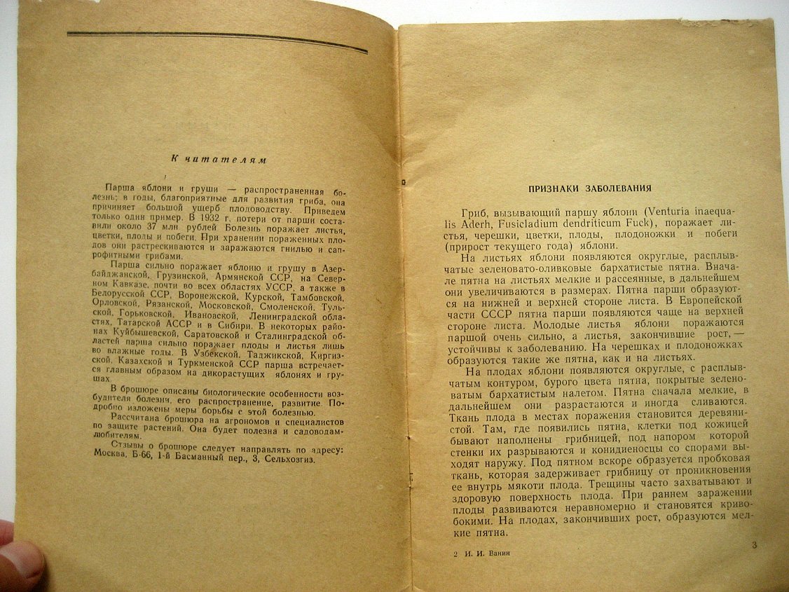 Ванин И. Парша яблони и груши.