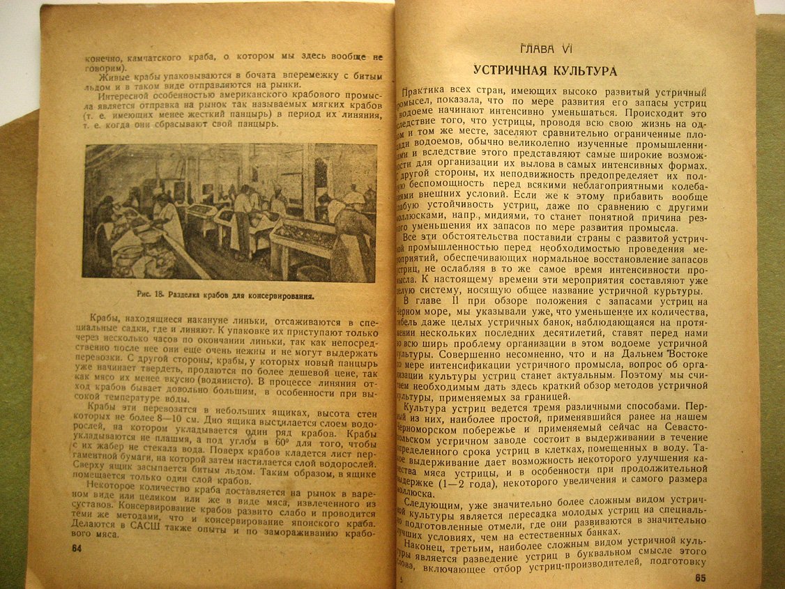 Шпарлинский В. Новые объекты промысла. Моллюски и ракообразные