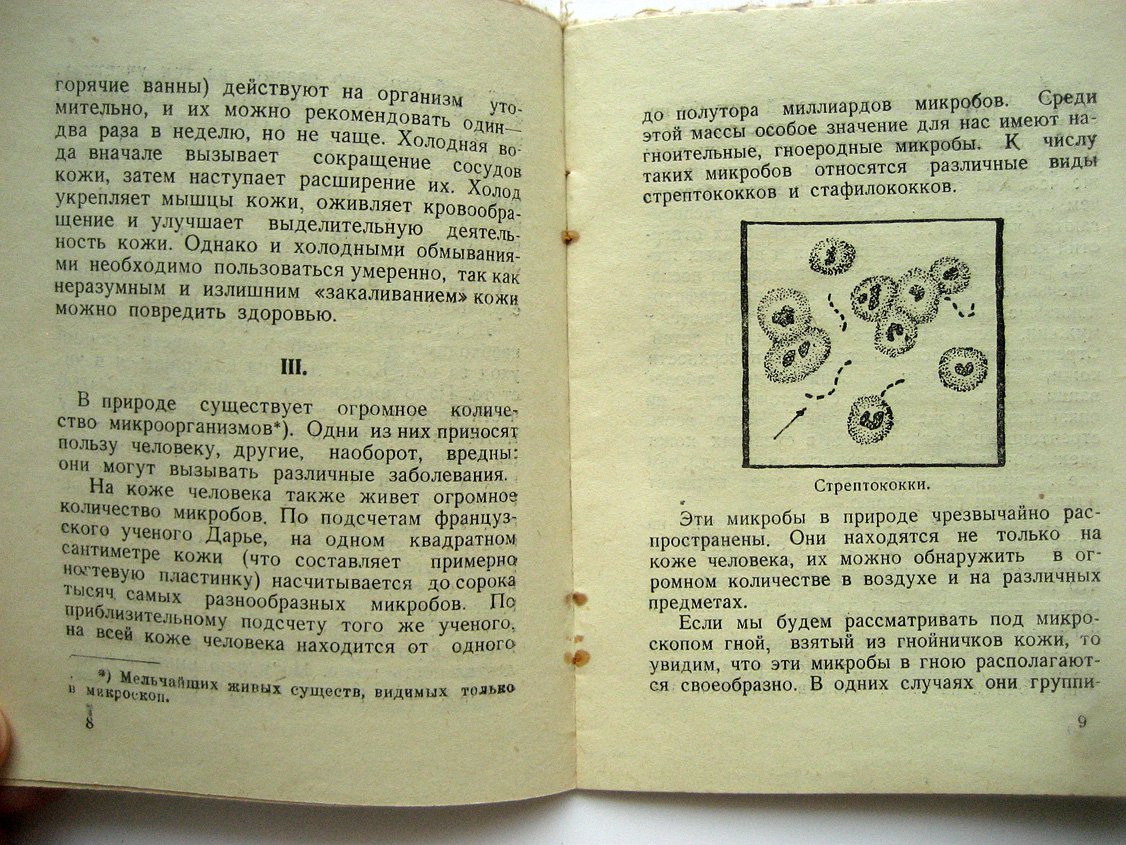 Логвиновский В. Гнойничковые заболевания.