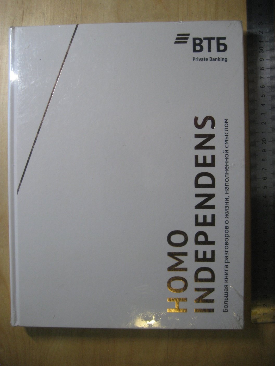Homo independens. Большая книга разговоров о жизни, наполненной смыслом