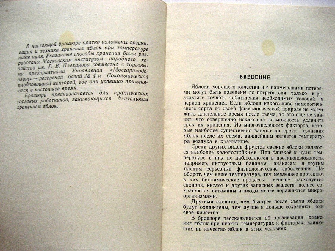 Бруев С. Хранение свежих яблок при температурах ниже нуля.