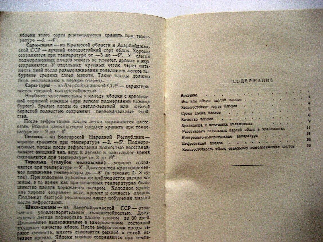 Бруев С. Хранение свежих яблок при температурах ниже нуля.