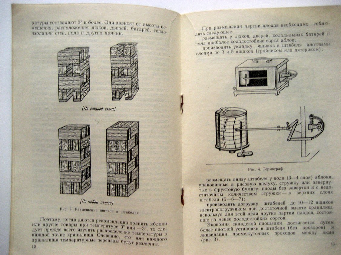 Бруев С. Хранение свежих яблок при температурах ниже нуля.