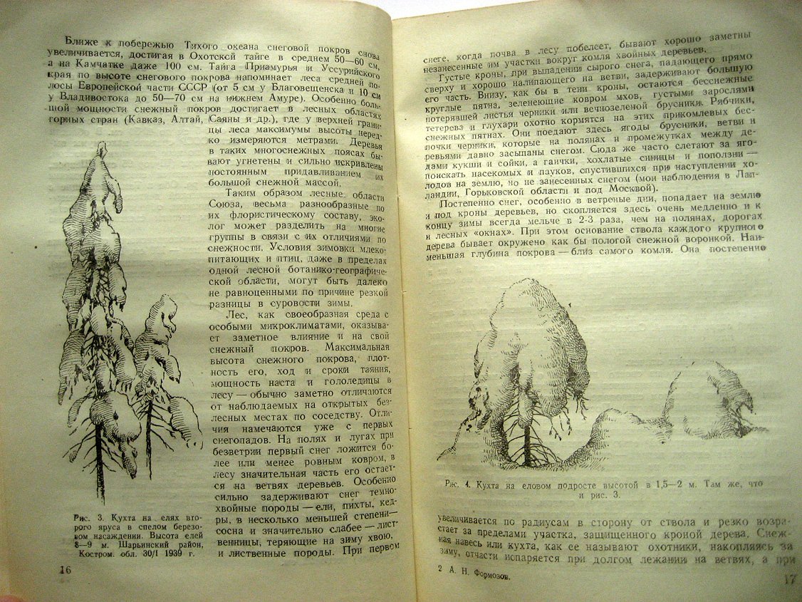 Формозов А. Снежный покров как фактор среды, его значение в жизни млекопитающих и птиц СССР