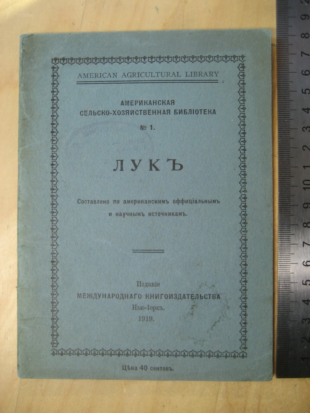 Культура лука в Америке.