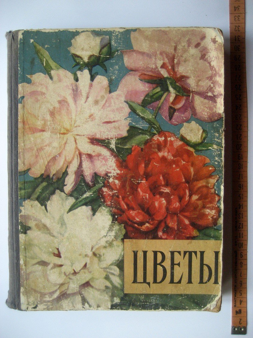 Юхимчук Д. Цветы.