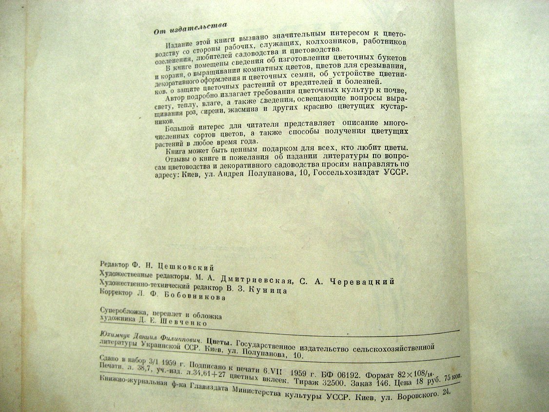 Юхимчук Д. Цветы.