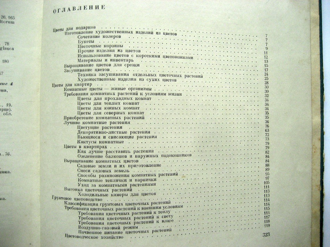 Юхимчук Д. Цветы.