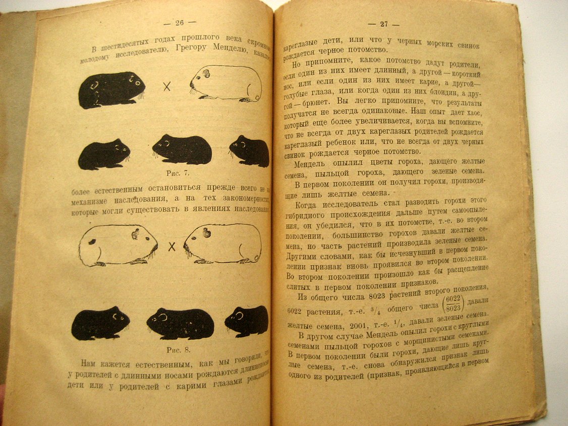 Завадовский М. Этапы биологии.