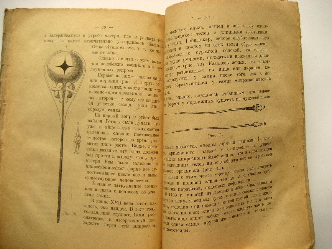 Завадовский М. Этапы биологии.