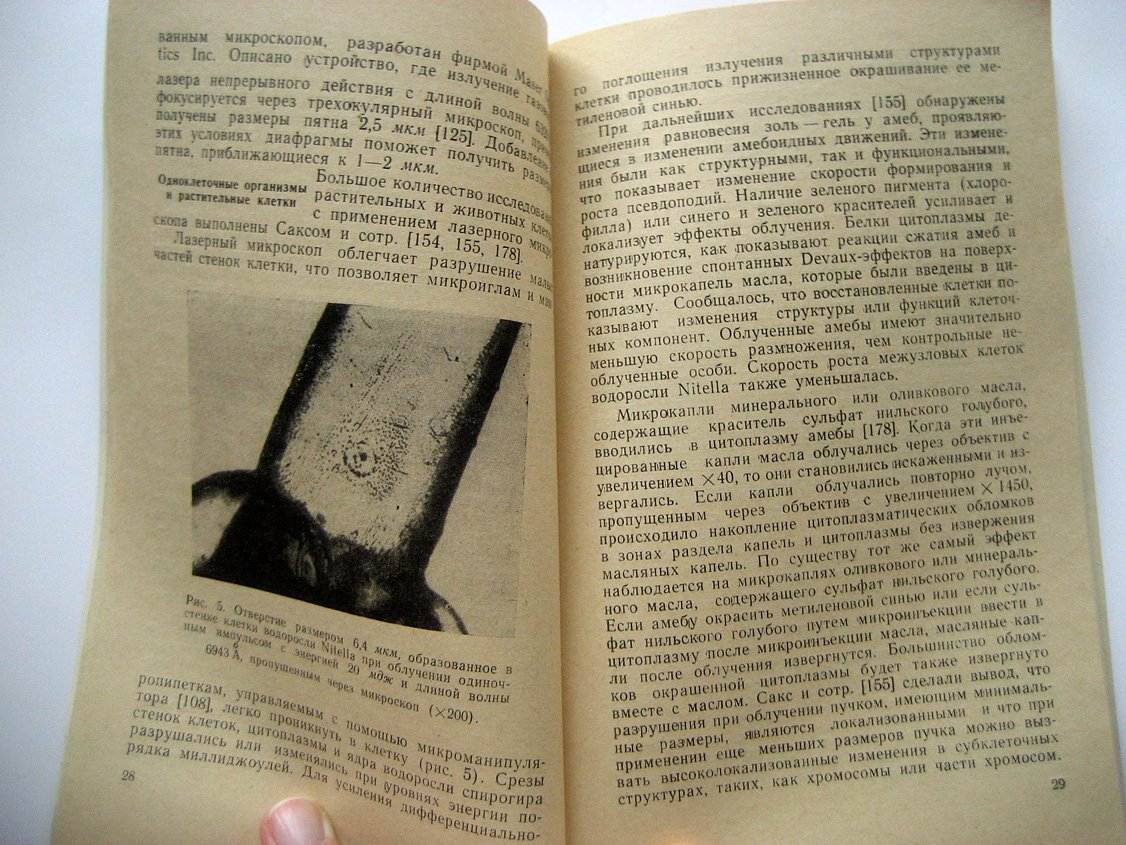 Файн С., Клейн Э. Биологическое действие излучения лазера.