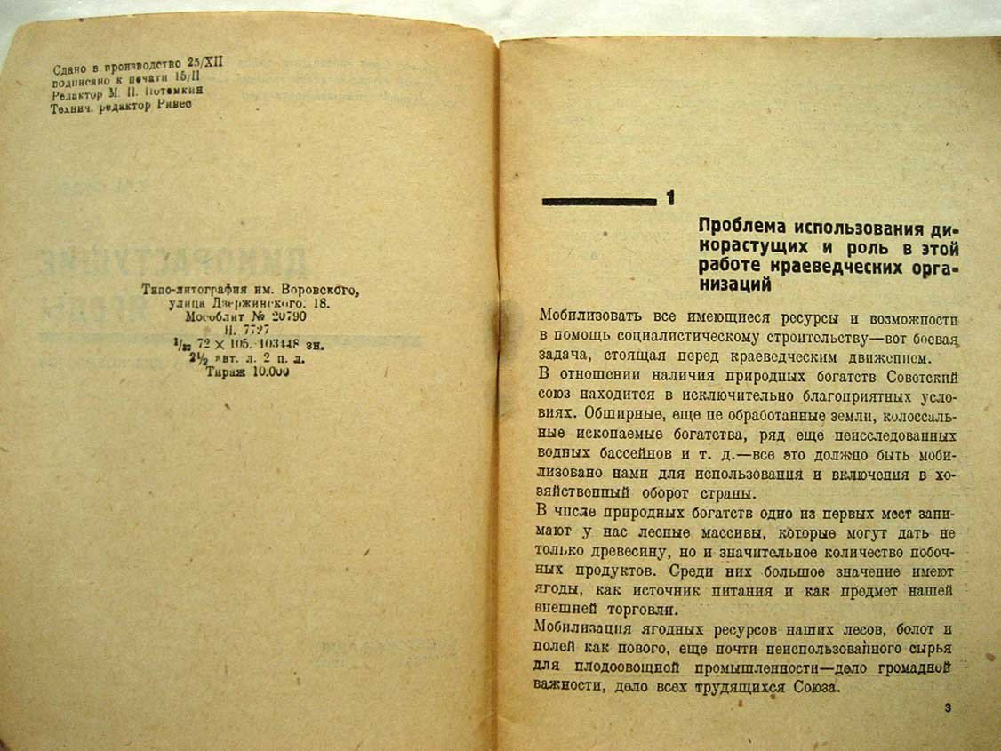 Фудель С. Дикорастущие ягоды. Пособие для краеведов