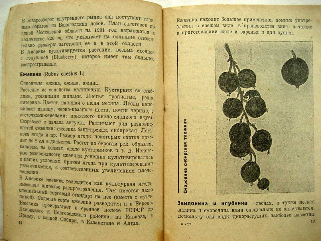 Фудель С. Дикорастущие ягоды. Пособие для краеведов