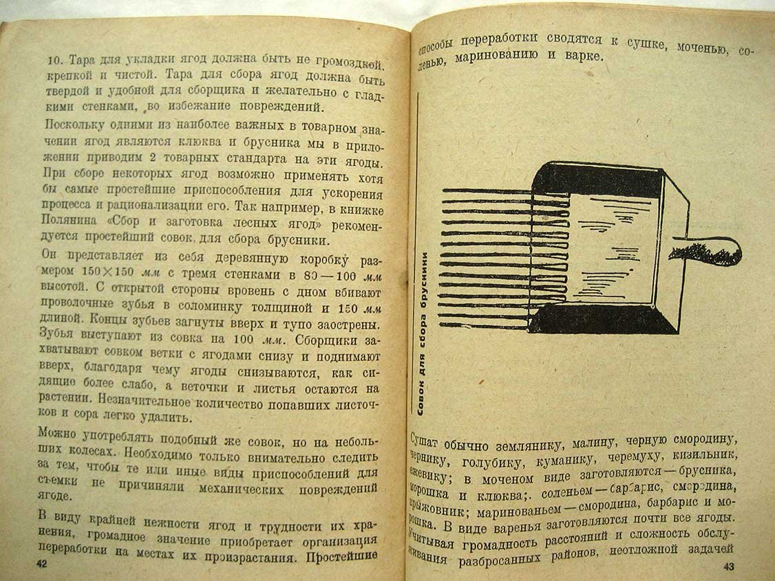 Фудель С. Дикорастущие ягоды. Пособие для краеведов