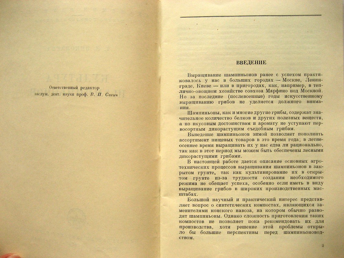 Николаева Т. Культура шампиньонов.