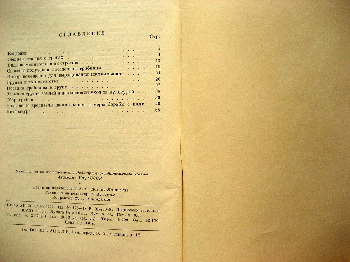 Николаева Т. Культура шампиньонов.