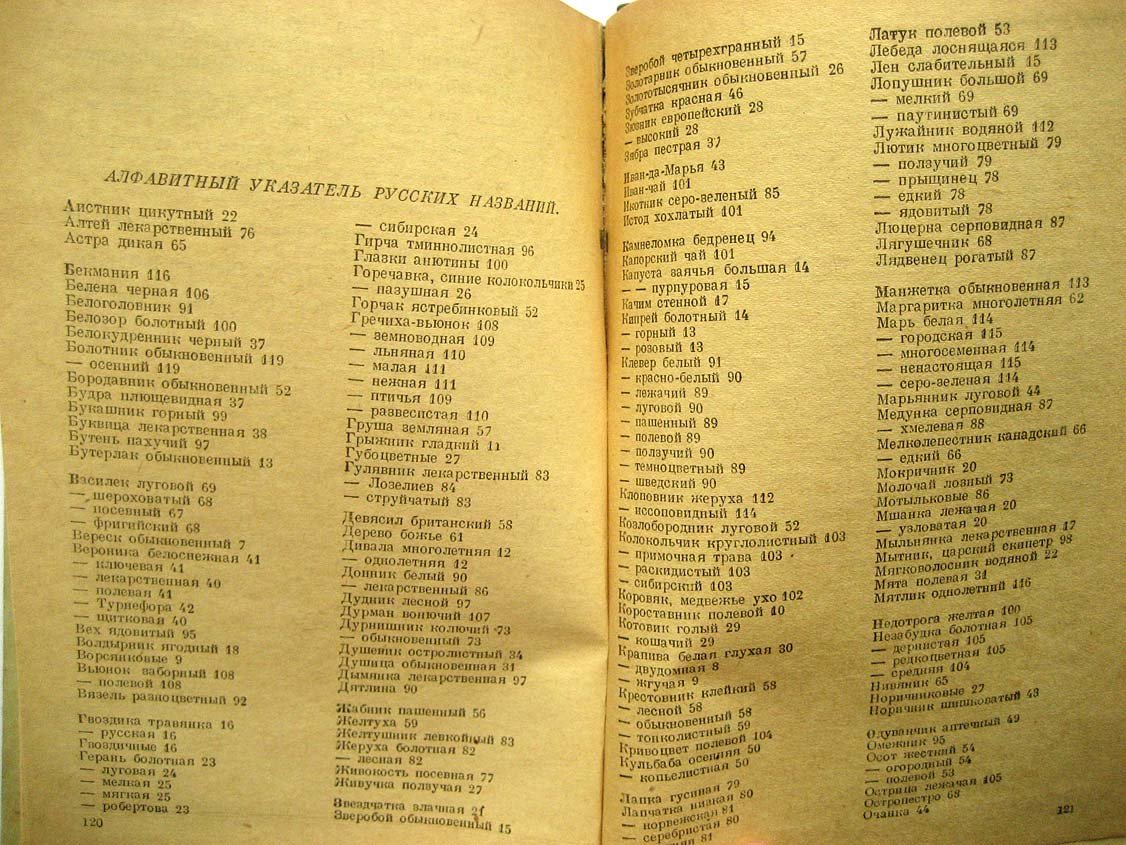 Маевский П. Осенняя флора. Краткий определитель растений