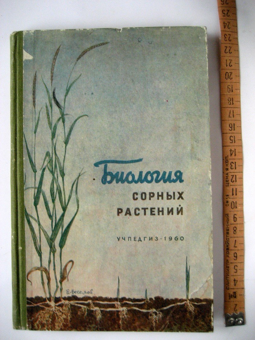 Котт С., Гродзинская В., Соловьева М. и др. Биология сорных растений.