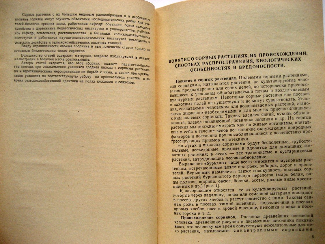 Котт С., Гродзинская В., Соловьева М. и др. Биология сорных растений.