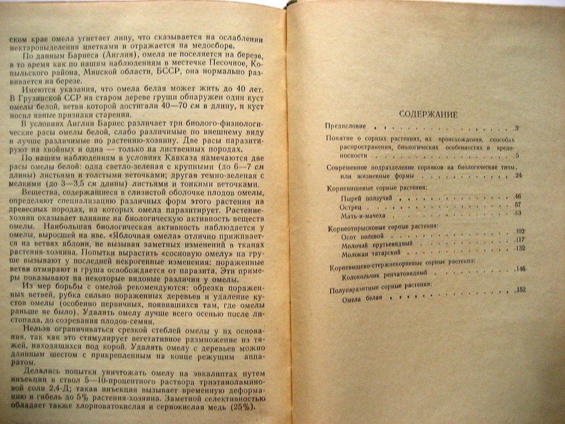 Котт С., Гродзинская В., Соловьева М. и др. Биология сорных растений.