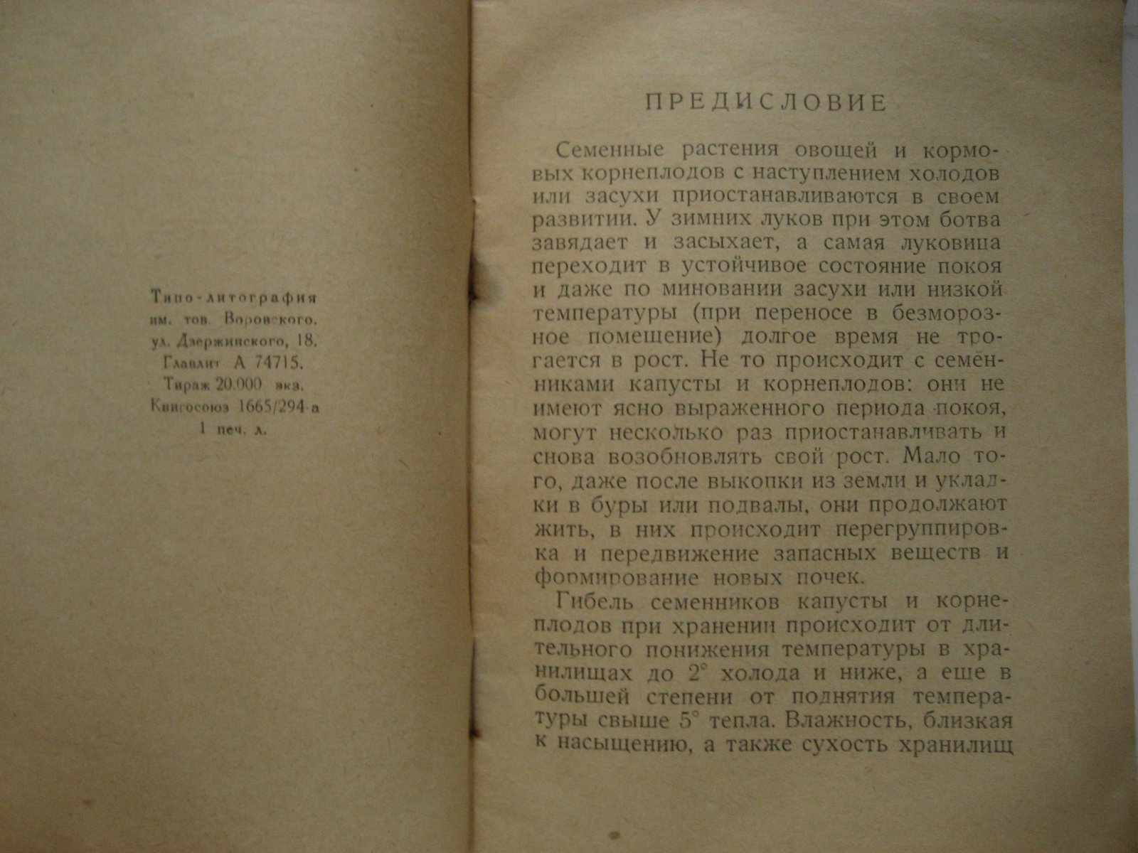 Инструкция по хранению семенников капусты, столовых и кормовых корнеплодов