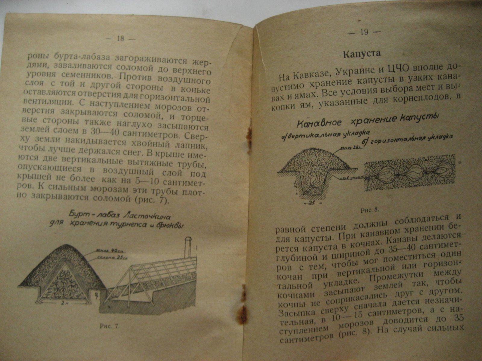Инструкция по хранению семенников капусты, столовых и кормовых корнеплодов