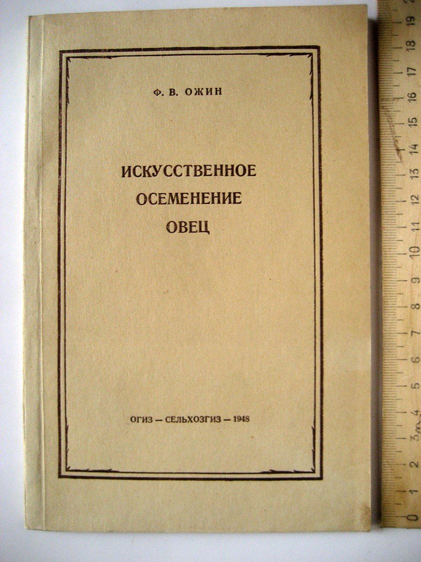 Ожин Ф. Искусственное осеменение овец.