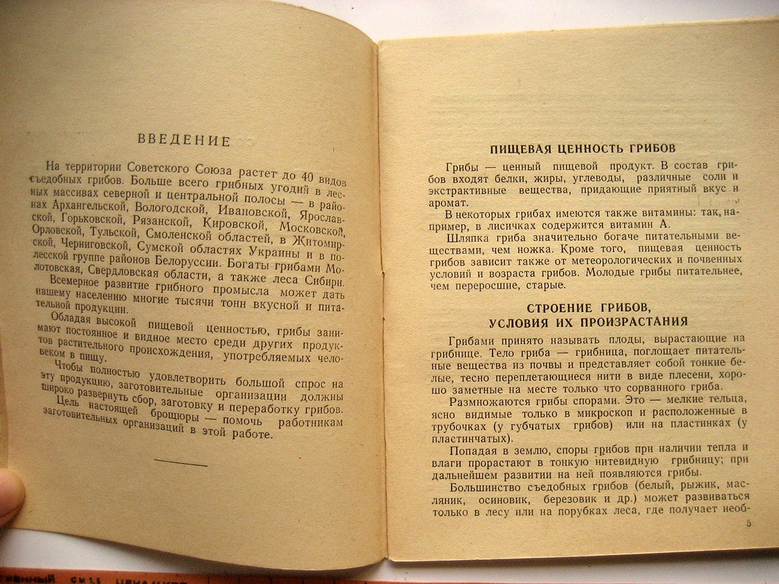 Лагутин И. Заготовка и переработка грибов.