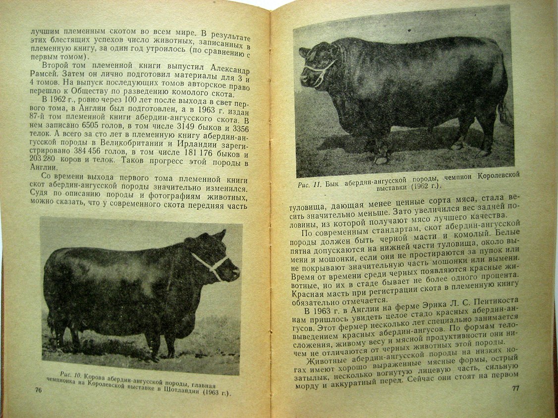 Дудин С. Мясное скотоводство.
