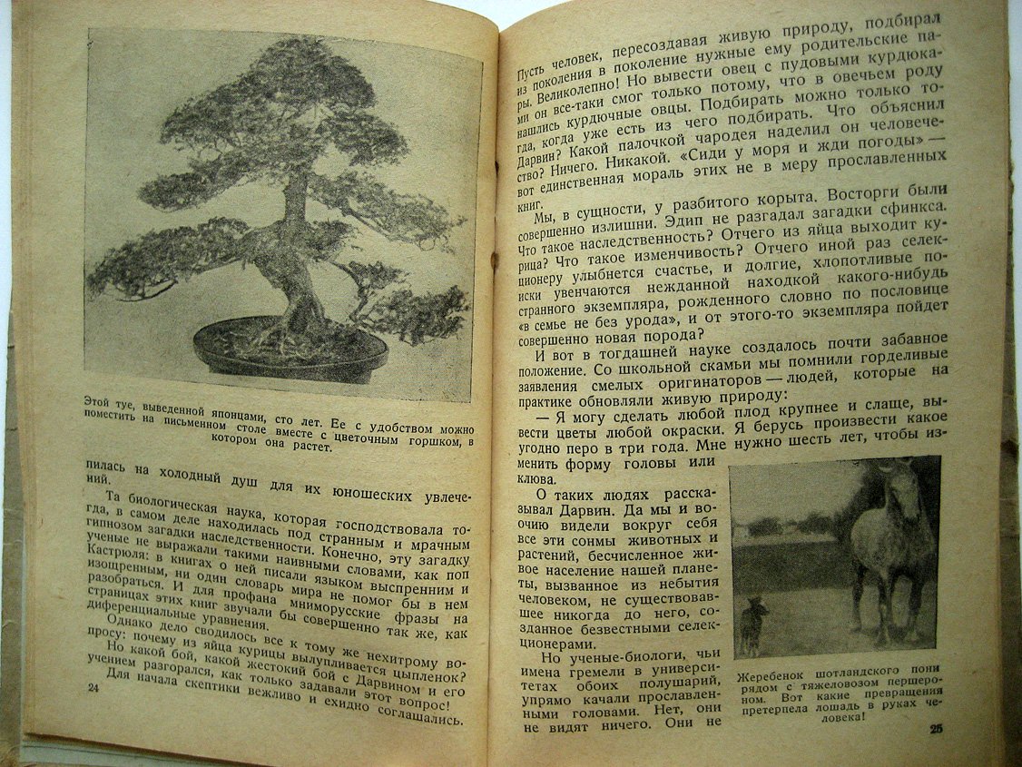Сафонов В. Власть над землей.