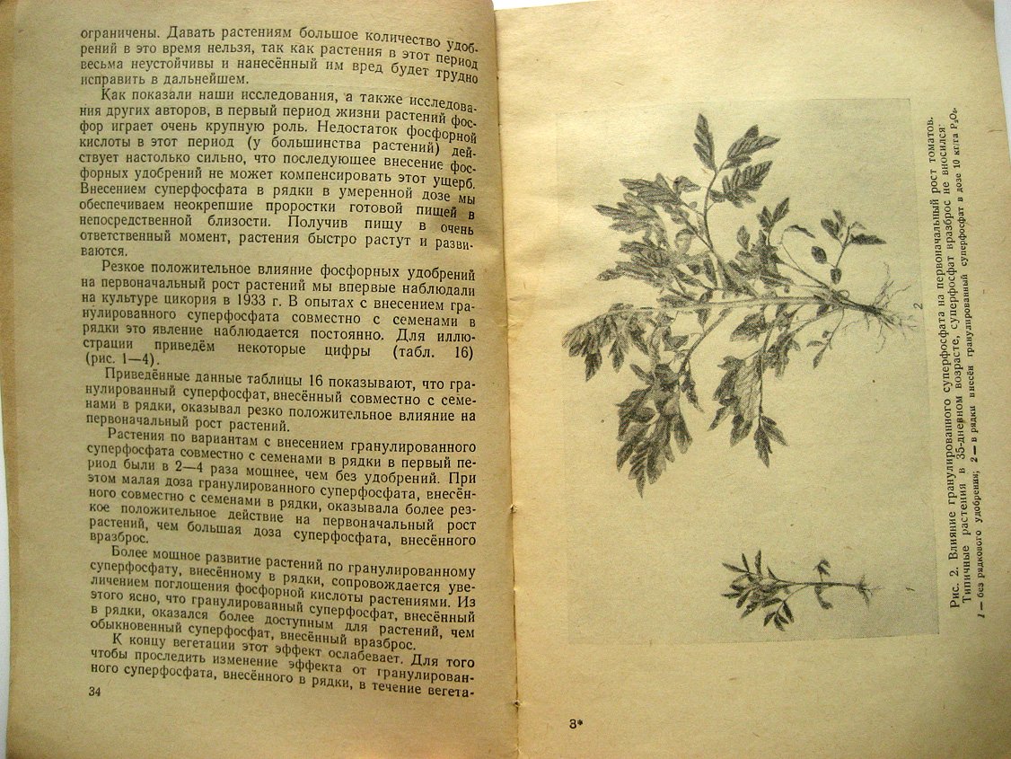 Авдонин Н. Применение гранулированного суперфосфата.