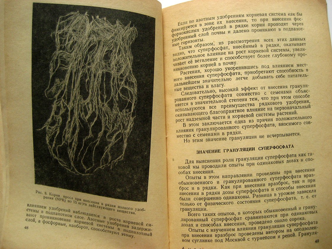 Авдонин Н. Применение гранулированного суперфосфата.