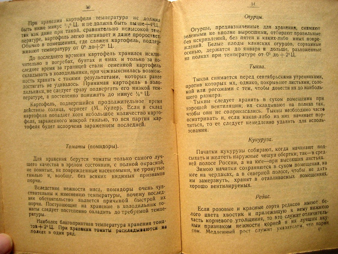 Лялин Л., Голензовский А., Фриде А. Овощи сырые и консервированные, их хранение, заготовка впрок, переработка в конченые продукты и перевозка