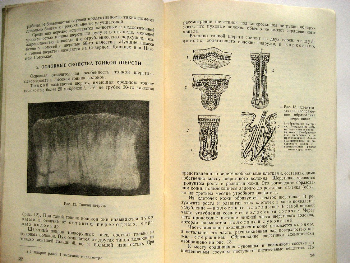 Литовченко Г., Овчинников Н. Тонкая шерсть.