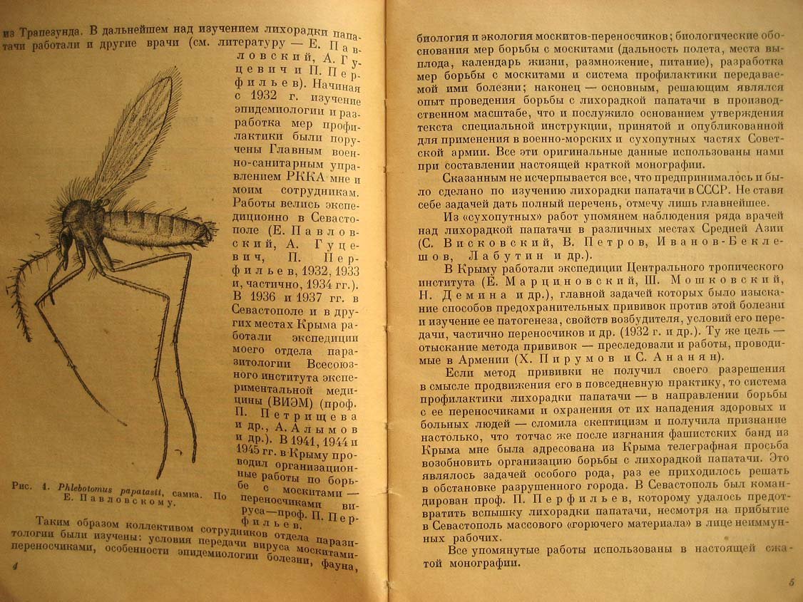 Павловский Е. Лихорадка папатачи и ее переносчик.
