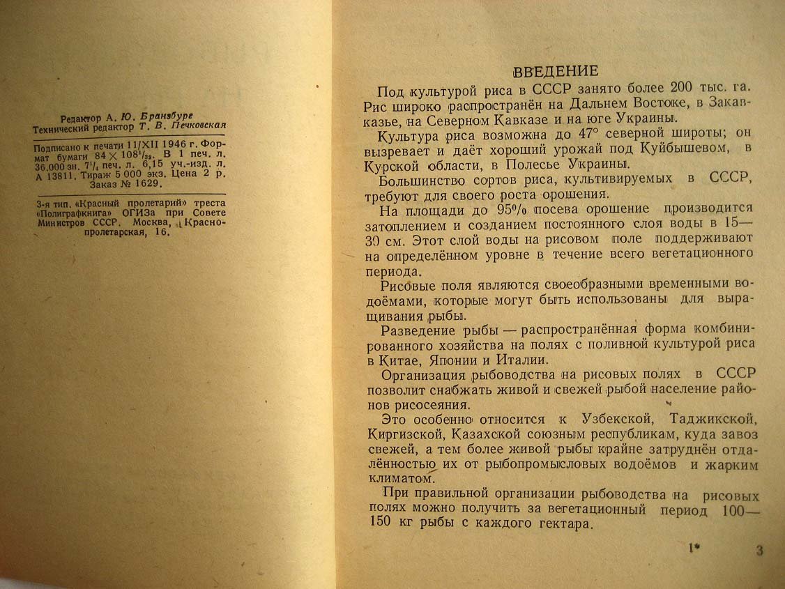 Суховерхов Ф. Рыбоводство на рисовых полях.