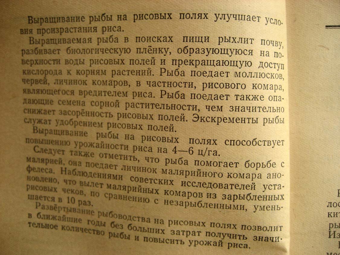 Суховерхов Ф. Рыбоводство на рисовых полях.