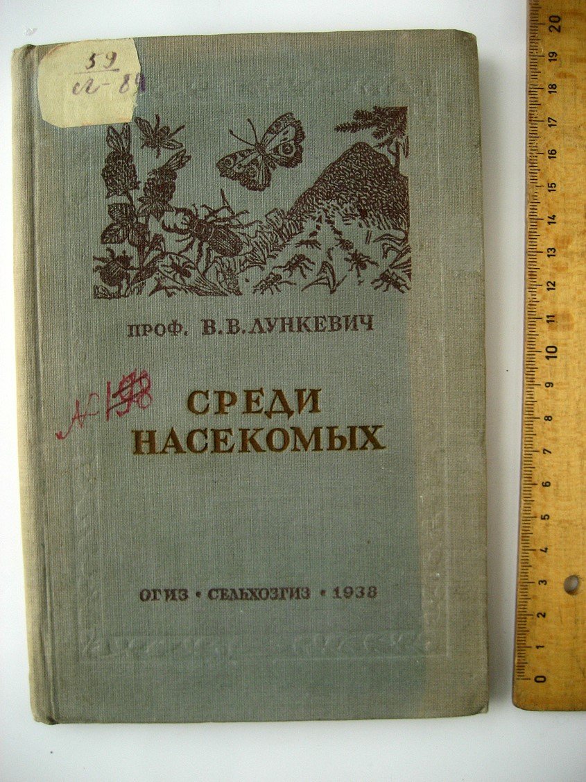 Лункевич В. Среди насекомых.