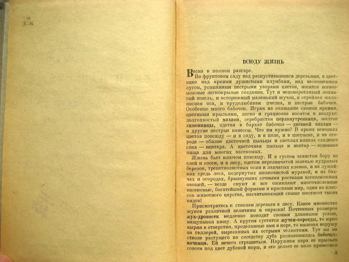 Лункевич В. Среди насекомых.