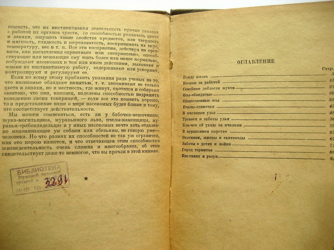 Лункевич В. Среди насекомых.