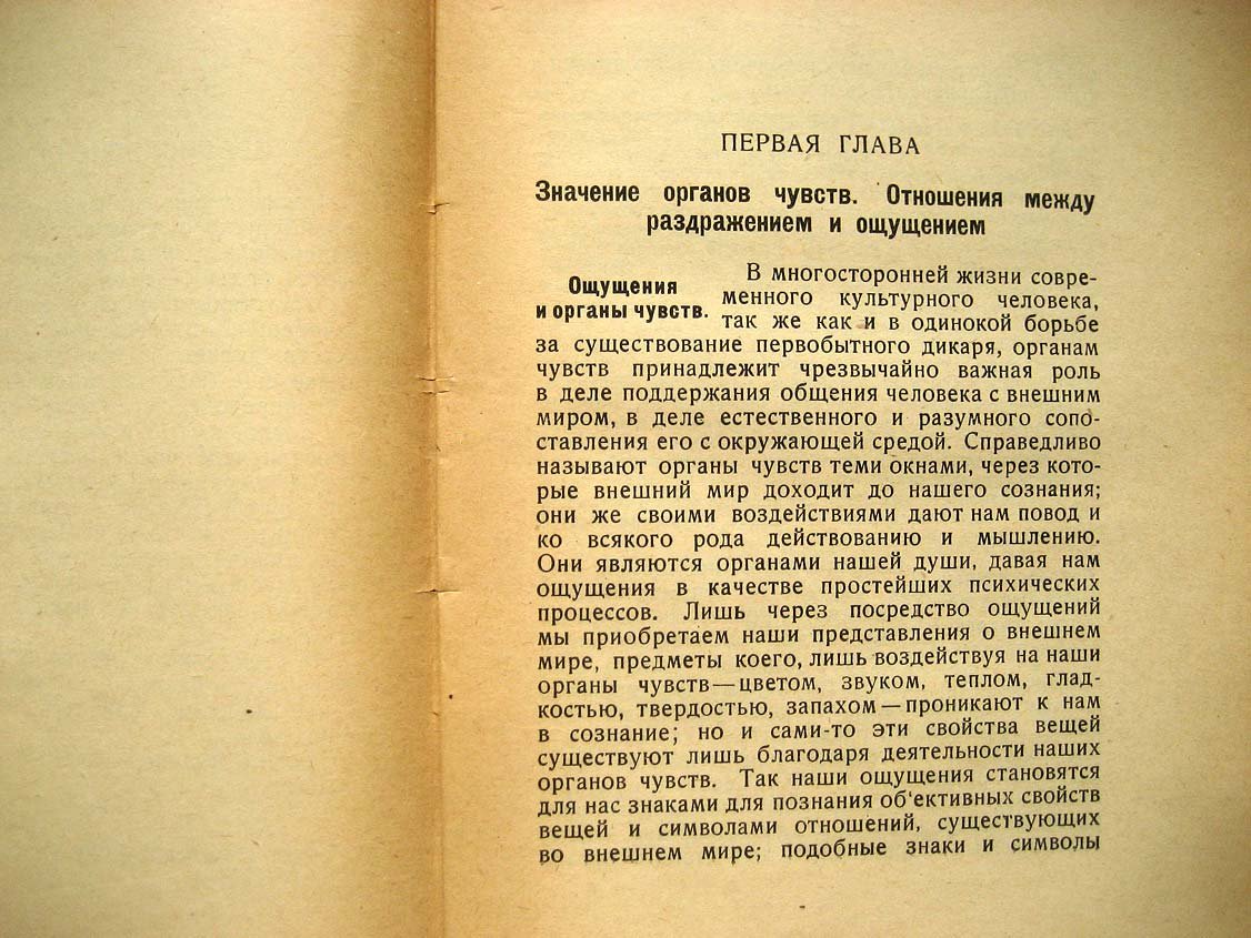 Мангольд Э. Органы чувств человека.